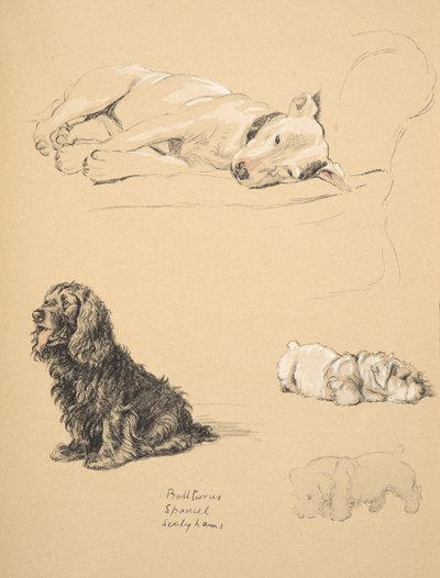 Bull-Terrier, Spaniel und Sealyhams, 1930, Illustrationen aus seinem Skizzenbuch verwendet für 